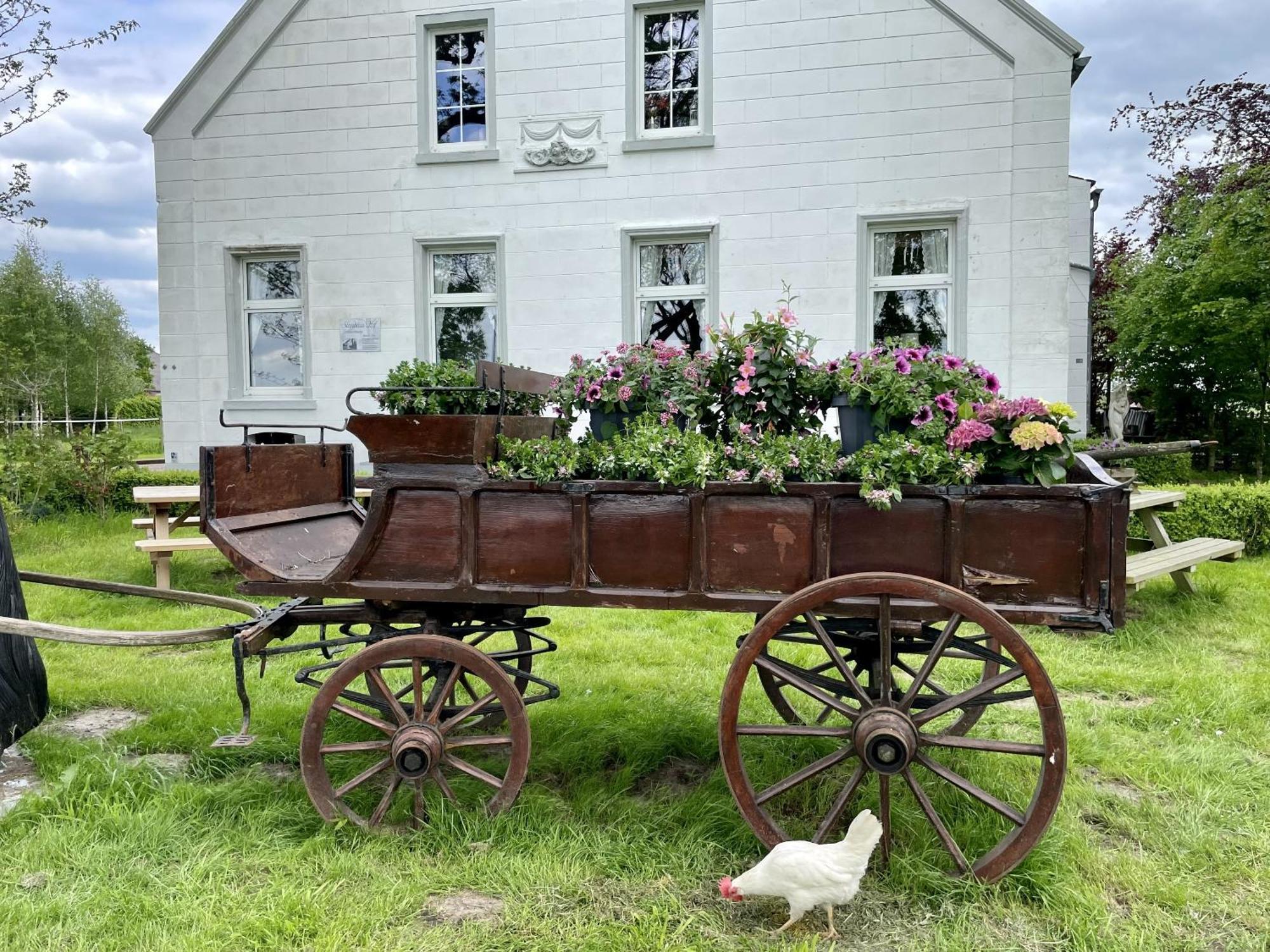 Steinhaus Hof Villa Bunde  Dış mekan fotoğraf